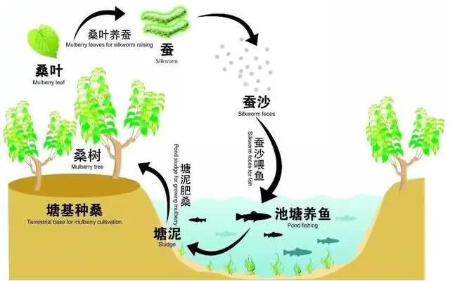“生态循环农业”经典模式（二）(图1)