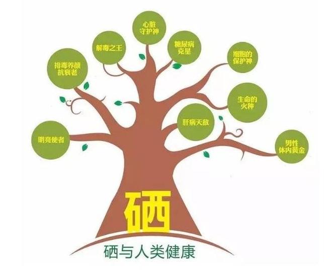 邵有林富硒花青素：健康益体新选择爱心公益勇担当(图3)