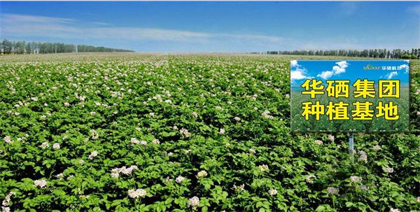 邵有林富硒花青素：健康益体新选择爱心公益勇担当(图4)