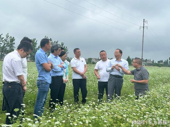 生态农业新实践！专家团赴沅江考察蛇床草与水稻轮作模式(图4)