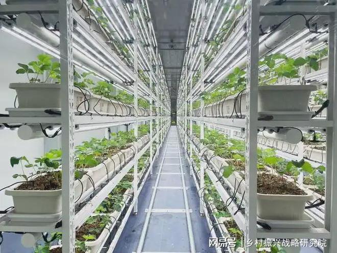 浙江省智慧农业发展现状分析报告（2025）(图2)