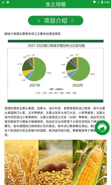 阿里新农(图1)