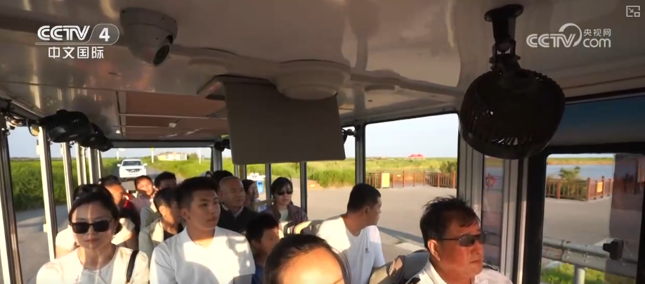 “红毯”湿地焕新生、科技破解“水困”生态保护与发展同频共振交出亮眼答卷(图5)