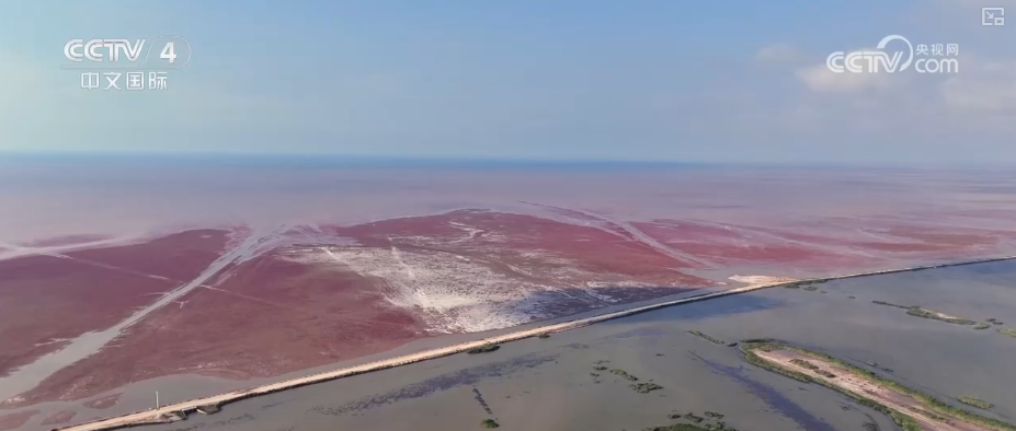 “红毯”湿地焕新生、科技破解“水困”生态保护与发展同频共振交出亮眼答卷(图6)