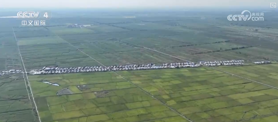 “红毯”湿地焕新生、科技破解“水困”生态保护与发展同频共振交出亮眼答卷(图12)