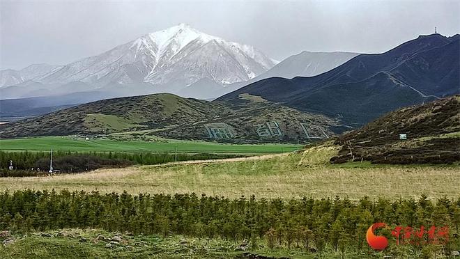 祁连山下是我家｜千年古道扁都口人文荟萃成史诗(图4)
